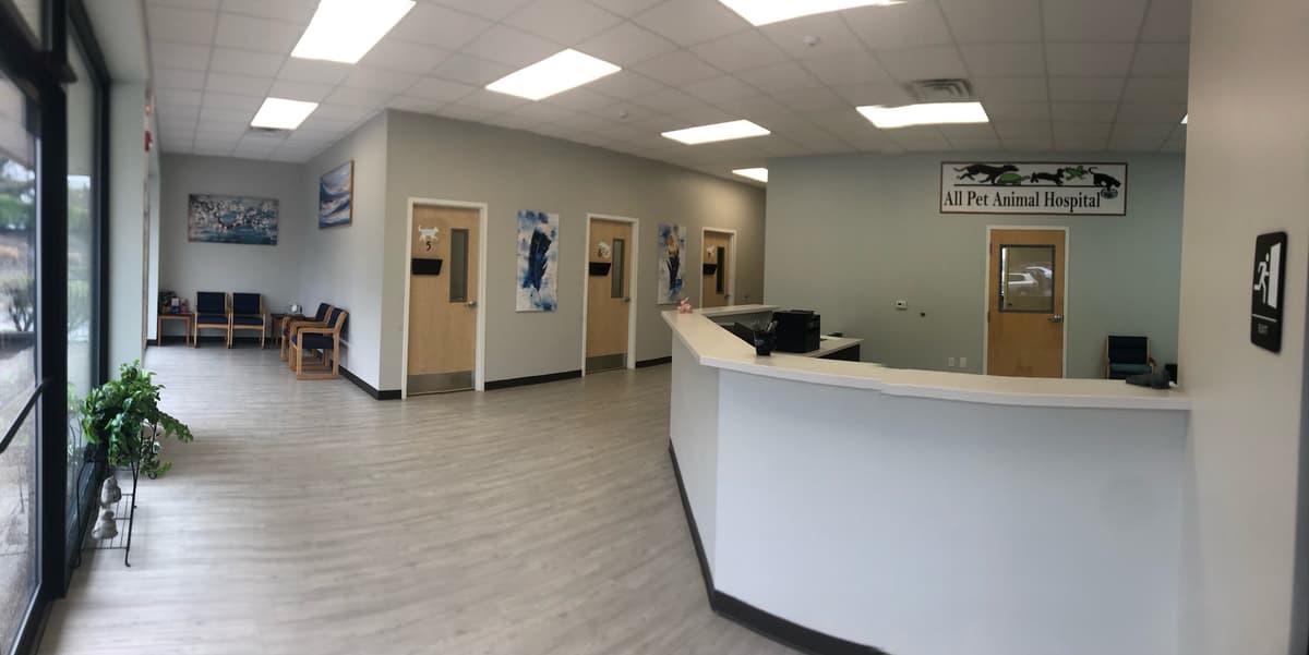 All Pet Animal Hospital - Main photo