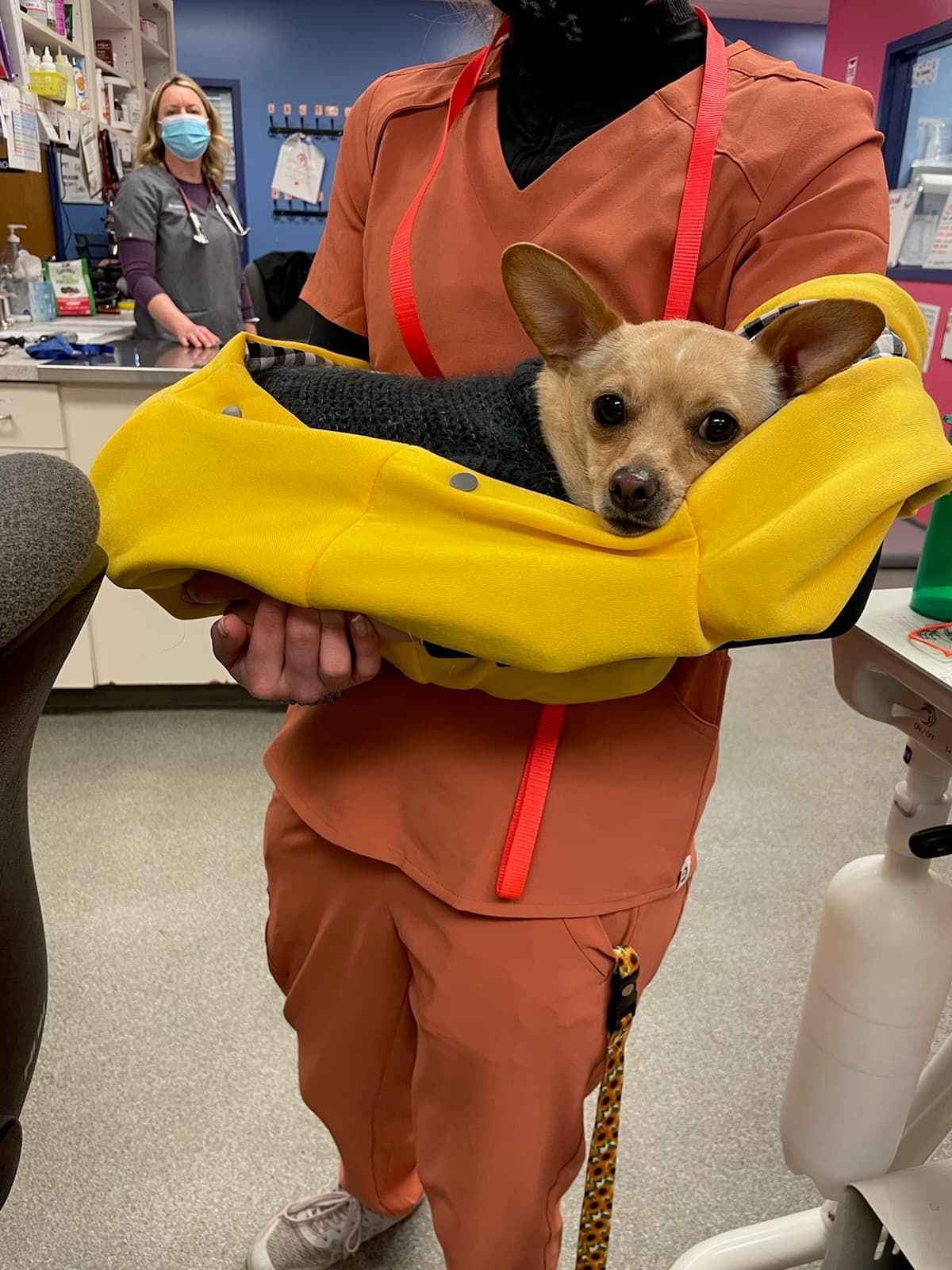 Animal Care Center, A Thrive Pet Healthcare Partner - Main photo