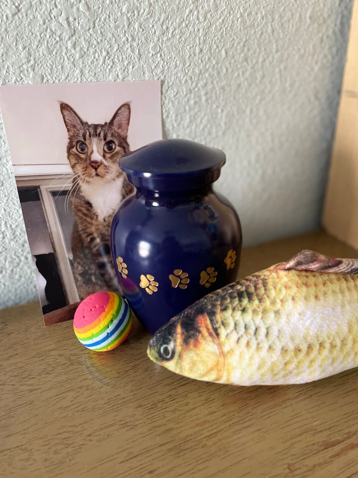 Ark Pet Crematory - Main photo