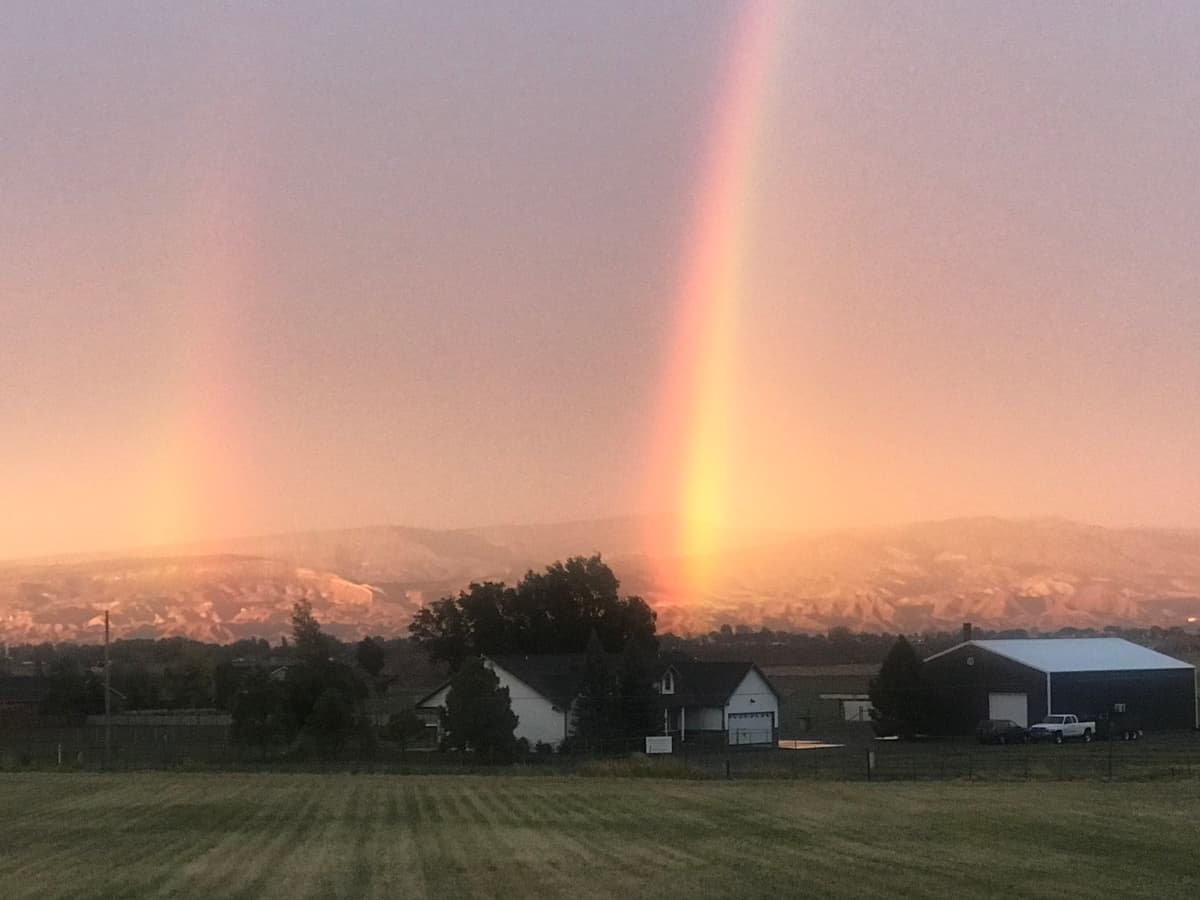 Ashes To Ashes Pet Cremation - Main photo