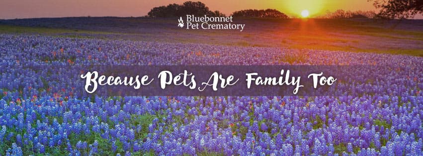 Bluebonnet Pet Crematory - Main photo