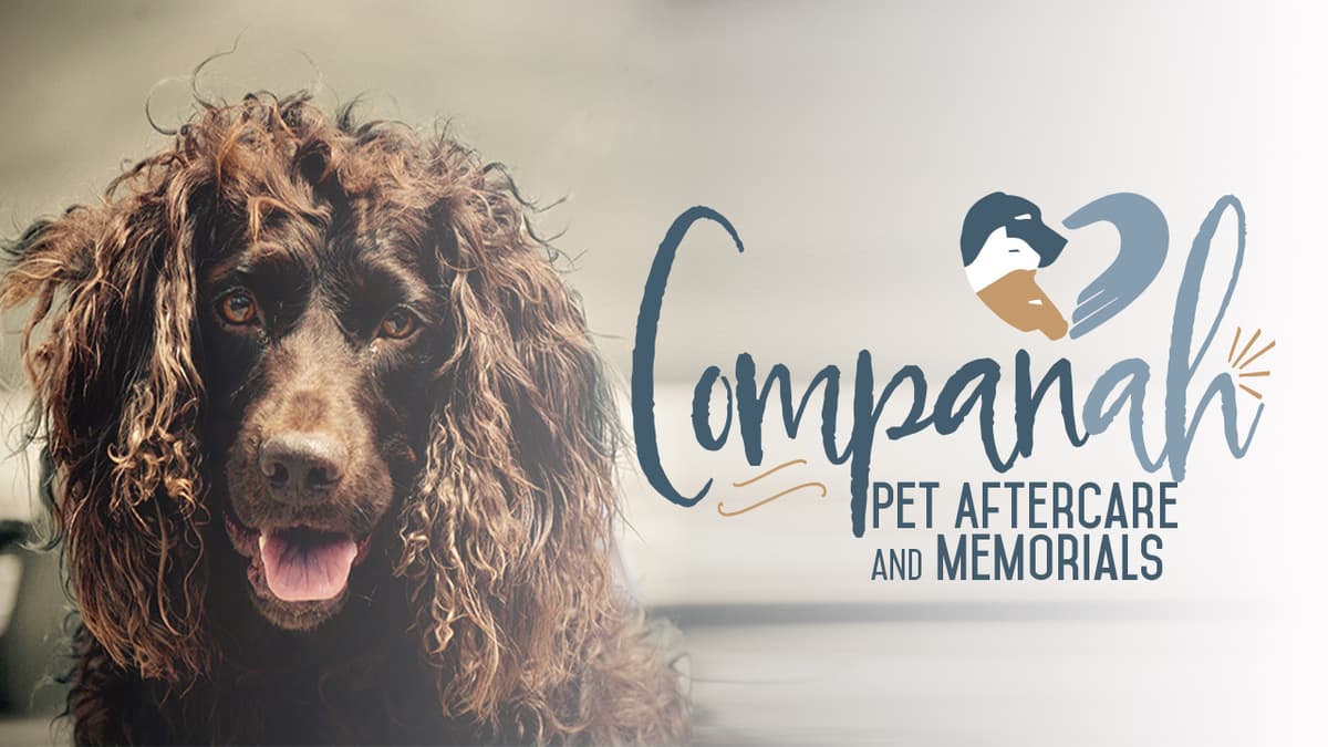 Companah Pet Cremation - Main photo