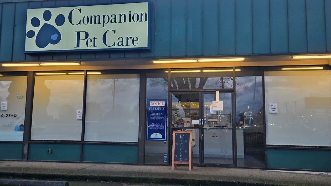 Companion Pet Care - Main photo
