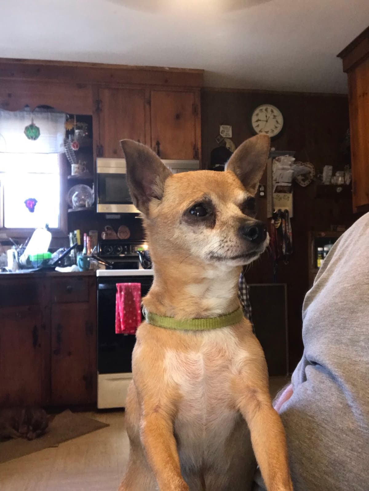 Creekside Pet Crematory - Main photo