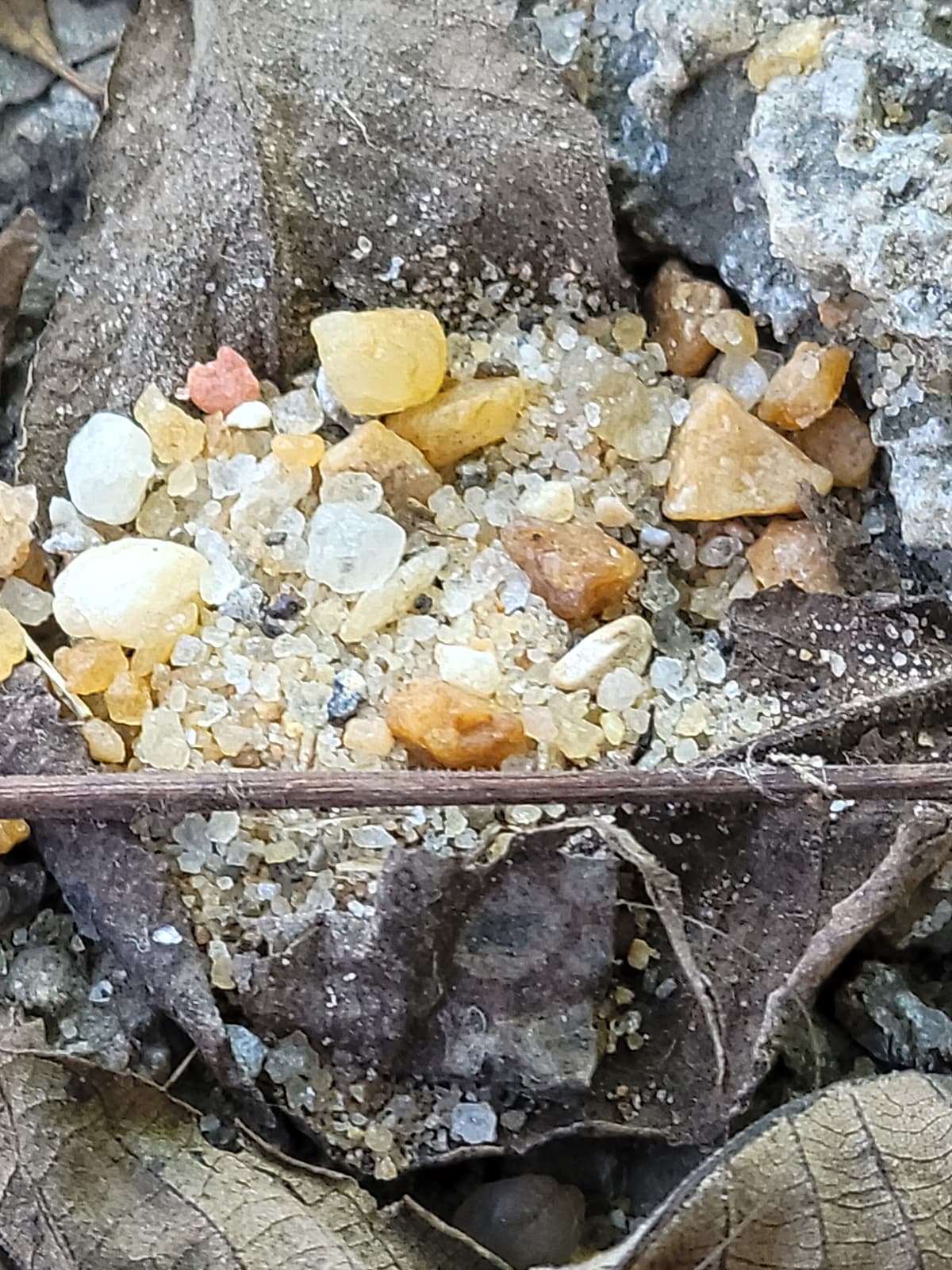 Cremation Center Of Birmingham - Main photo