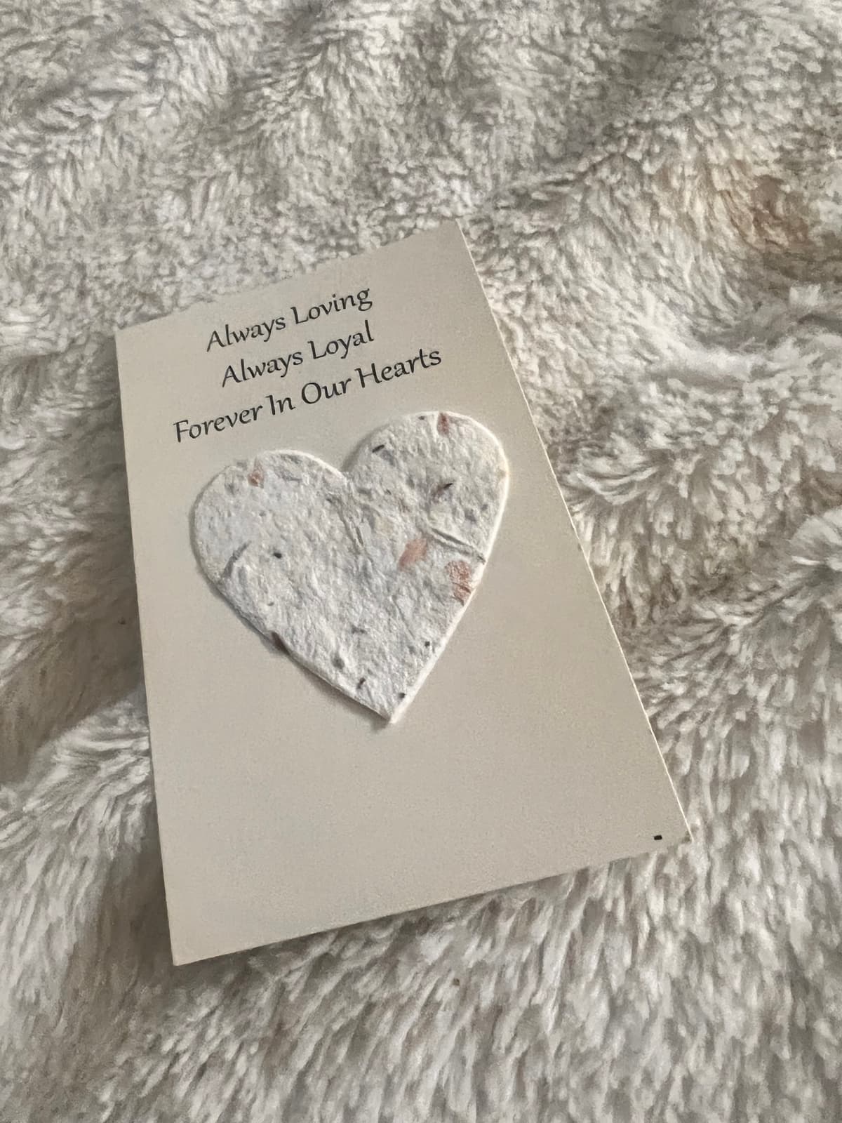 Eco Animal Cremation - Main photo