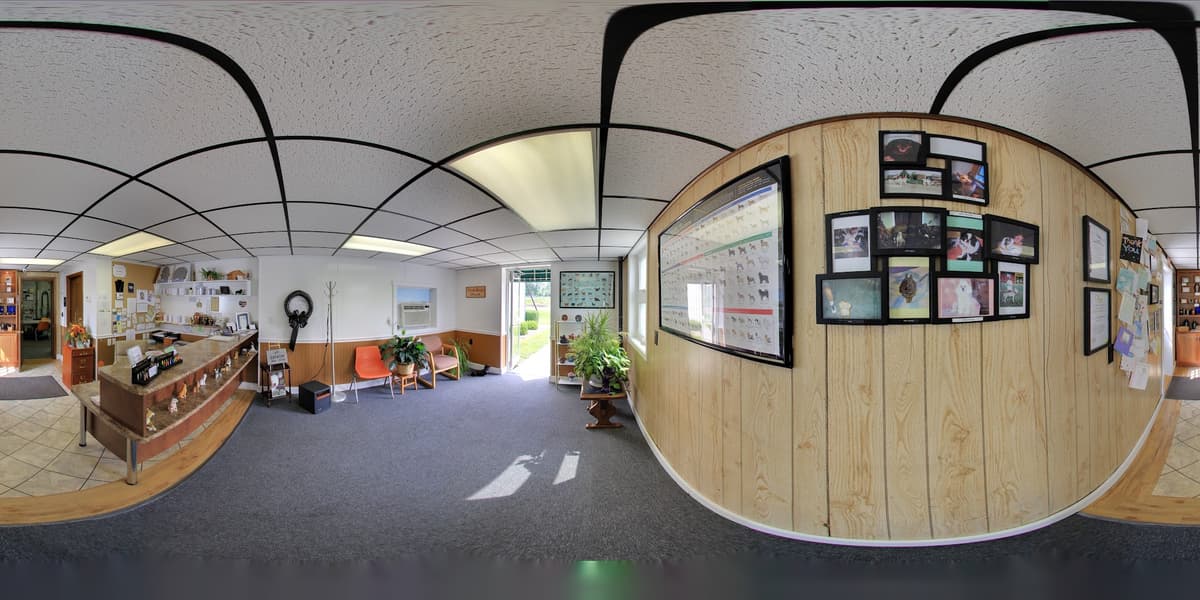 Eternal Life Cremation Services LLC - Main photo