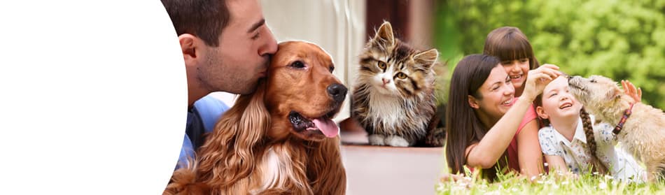 Ever After Pets By Lombardo Funeral Homes - Main photo