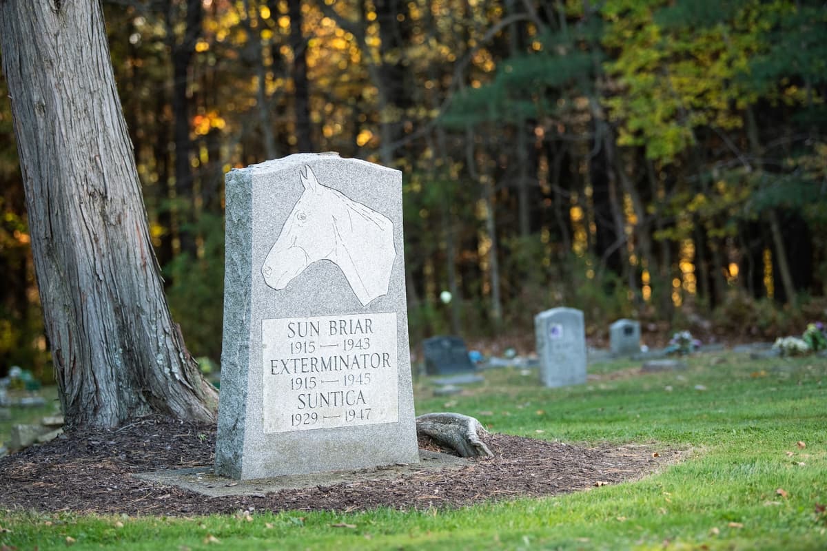 Faithful Companions Pet Cemetery And Crematory - Main photo
