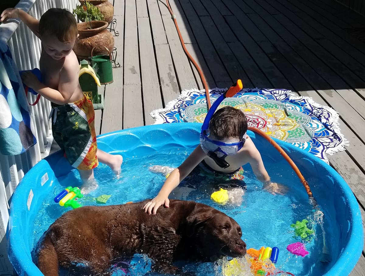 Faithful Companions Pet Crematory - Main photo