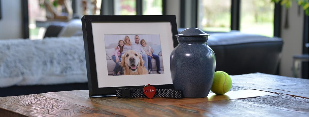 Final Gift Pet Memorial Center - Middleborough - Main photo