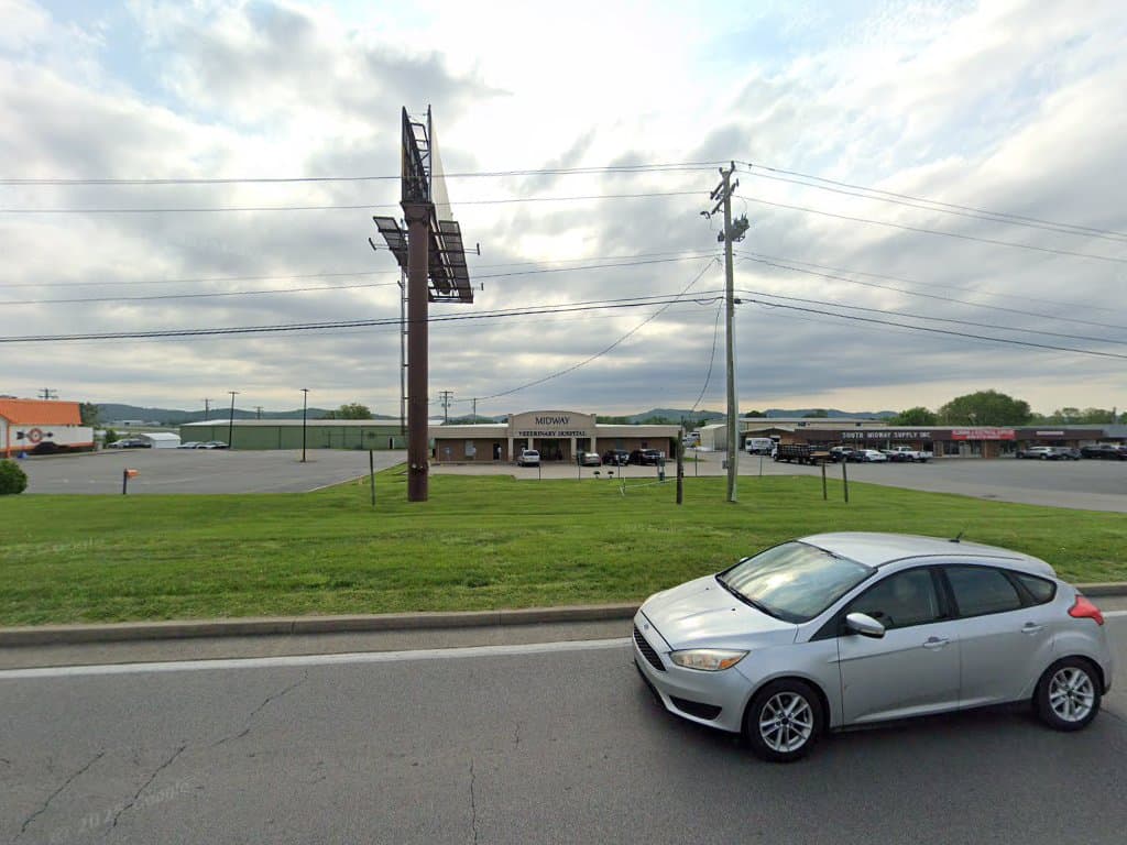 Forever Pets Animal Cremation Service - Main photo