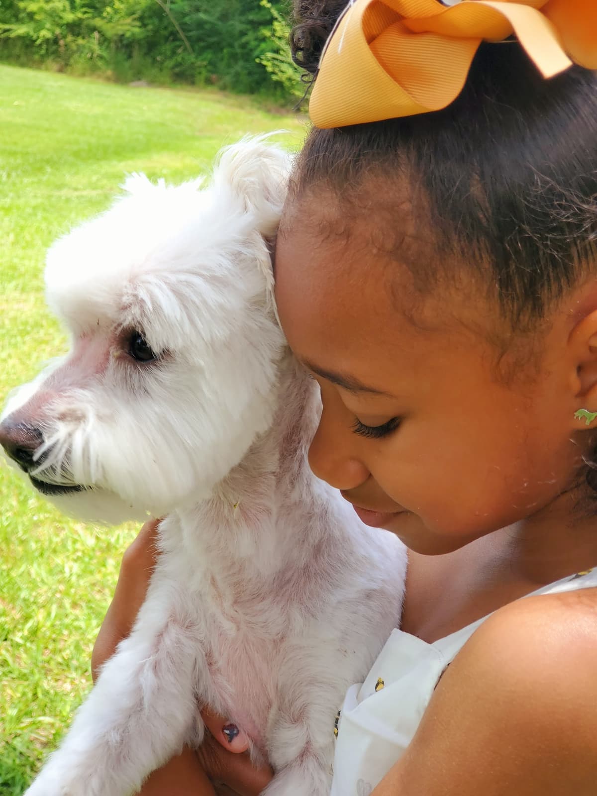 Four Paws Pet Cremation Service - Main photo