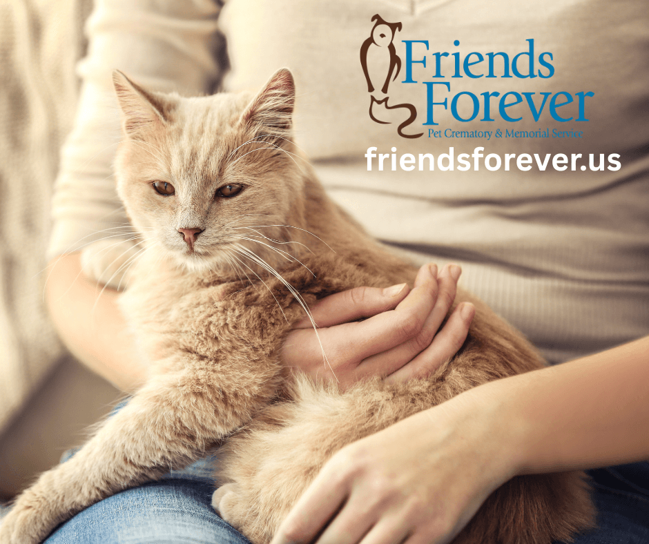 Friends Forever Memorial Services & Pet Crematory - Main photo