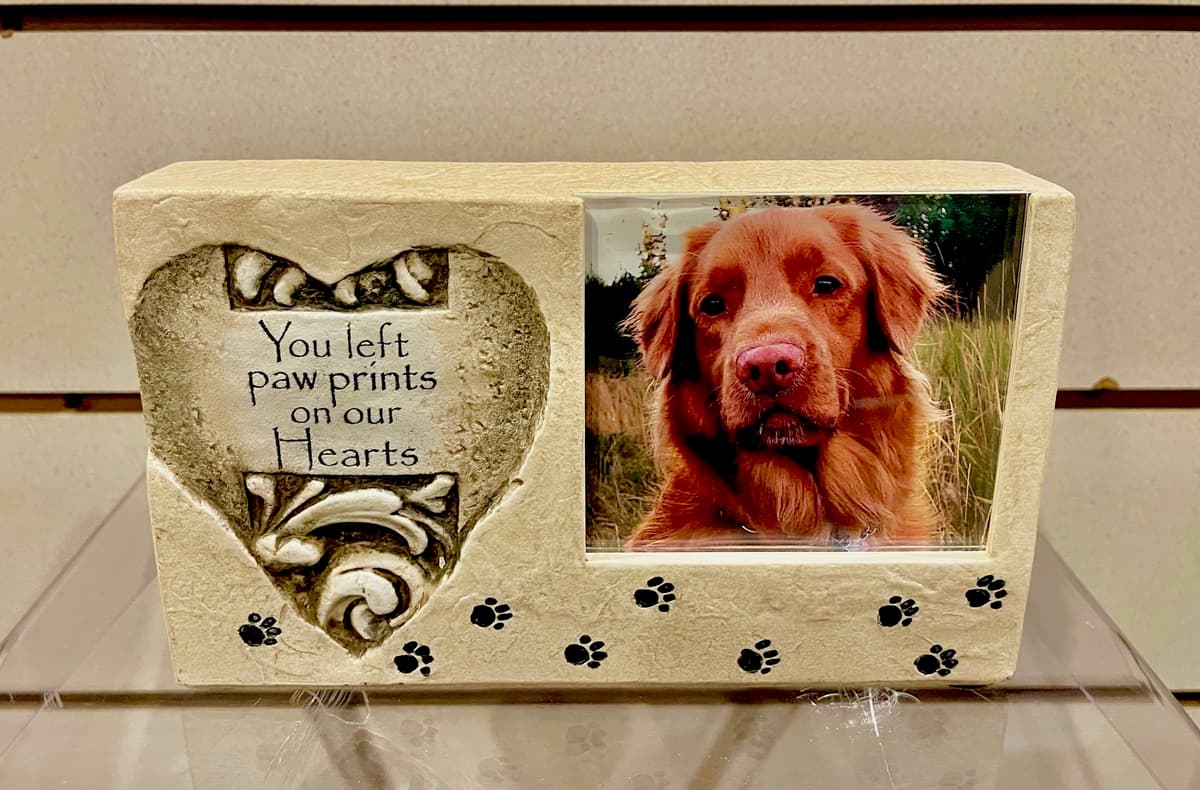 Furever Friends Pet Cremation Services - Main photo