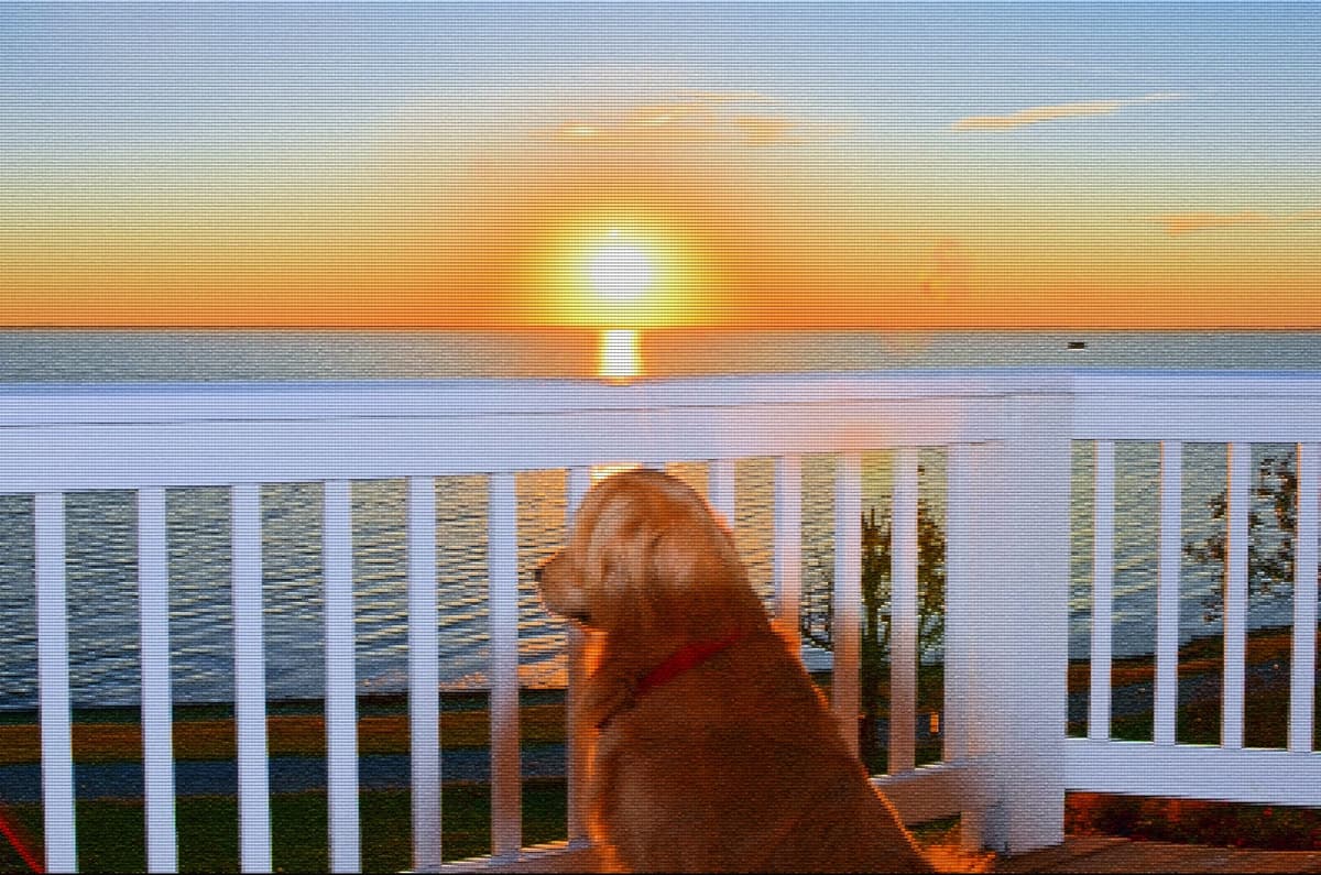 Great Meadows Pet Cremations - Main photo