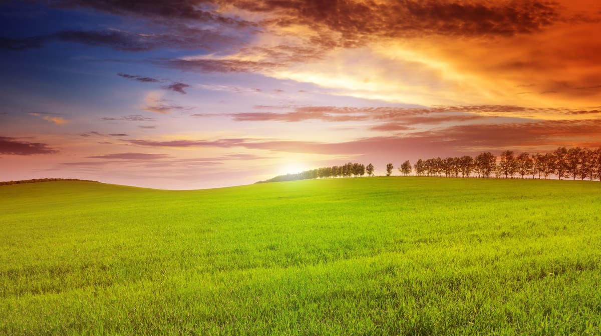 Greener Pastures: Aiken Pet Crematory - Main photo