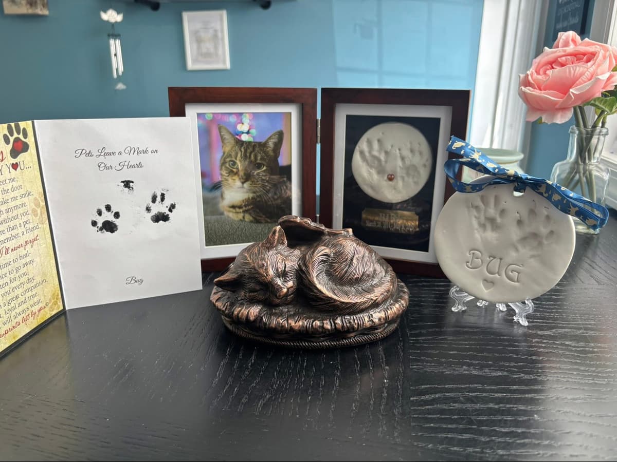 Heavenly Gates Pet Cremation - Main photo