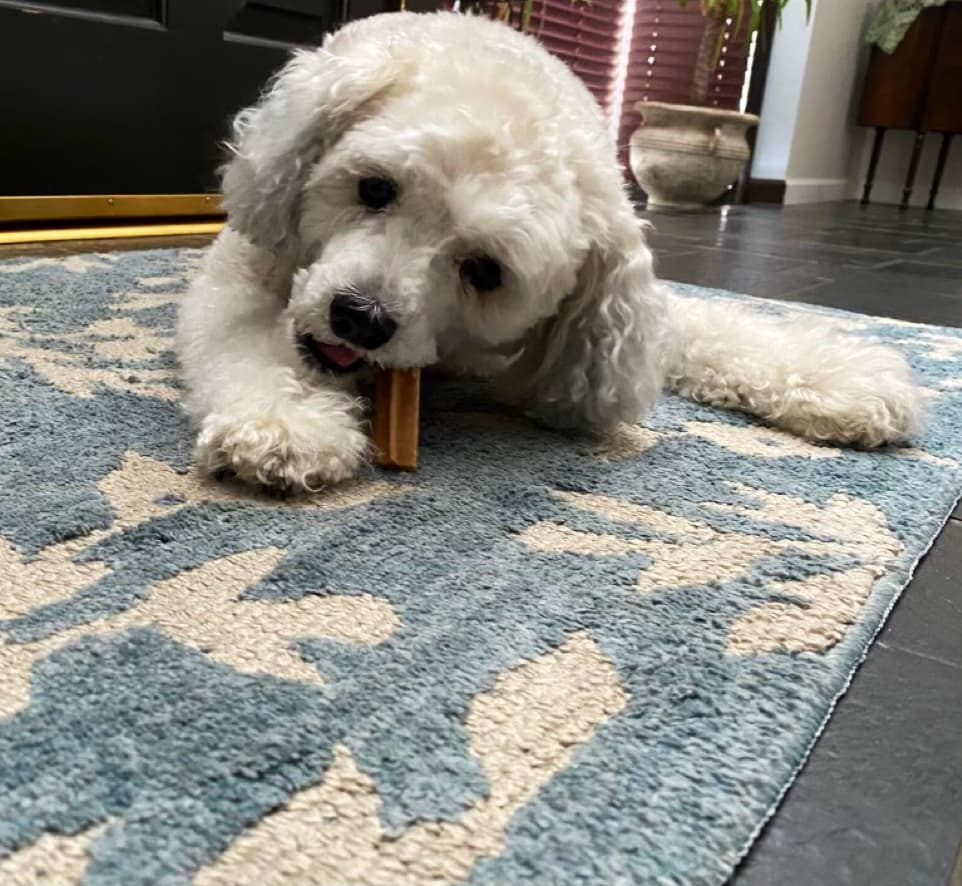 Kozy Acres Pet Cemetery & Crematory - Main photo