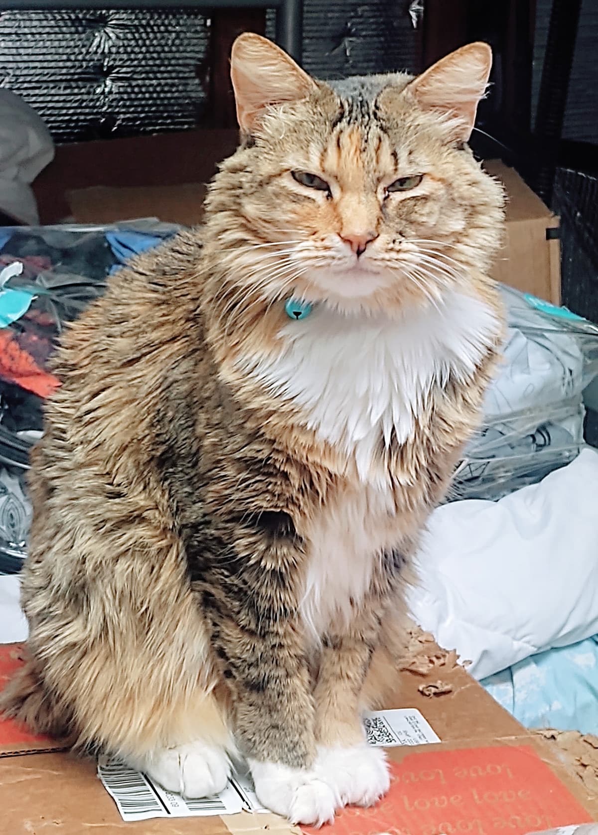 Lakey Animal Crematory - Main photo