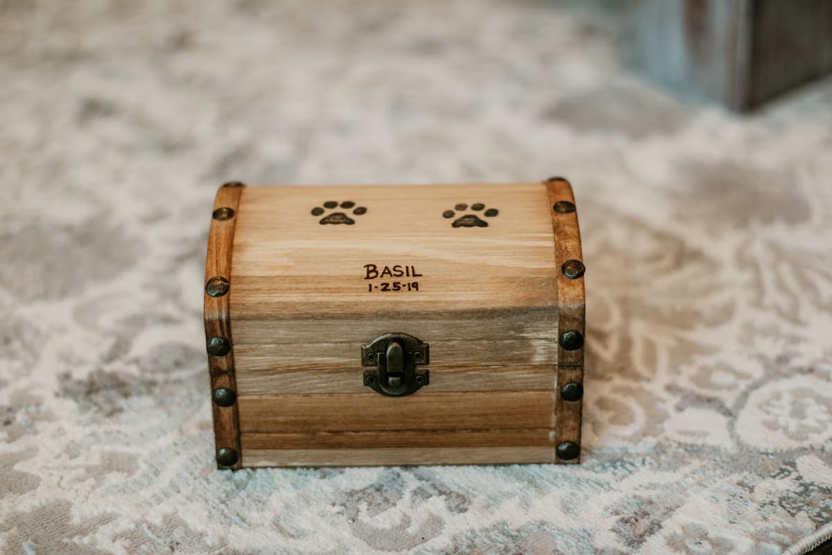 Lasting Paws Pet Memorial Services - Main photo