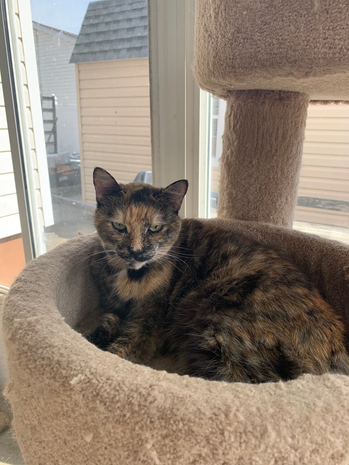 Long Island Pet Cremation - Main photo