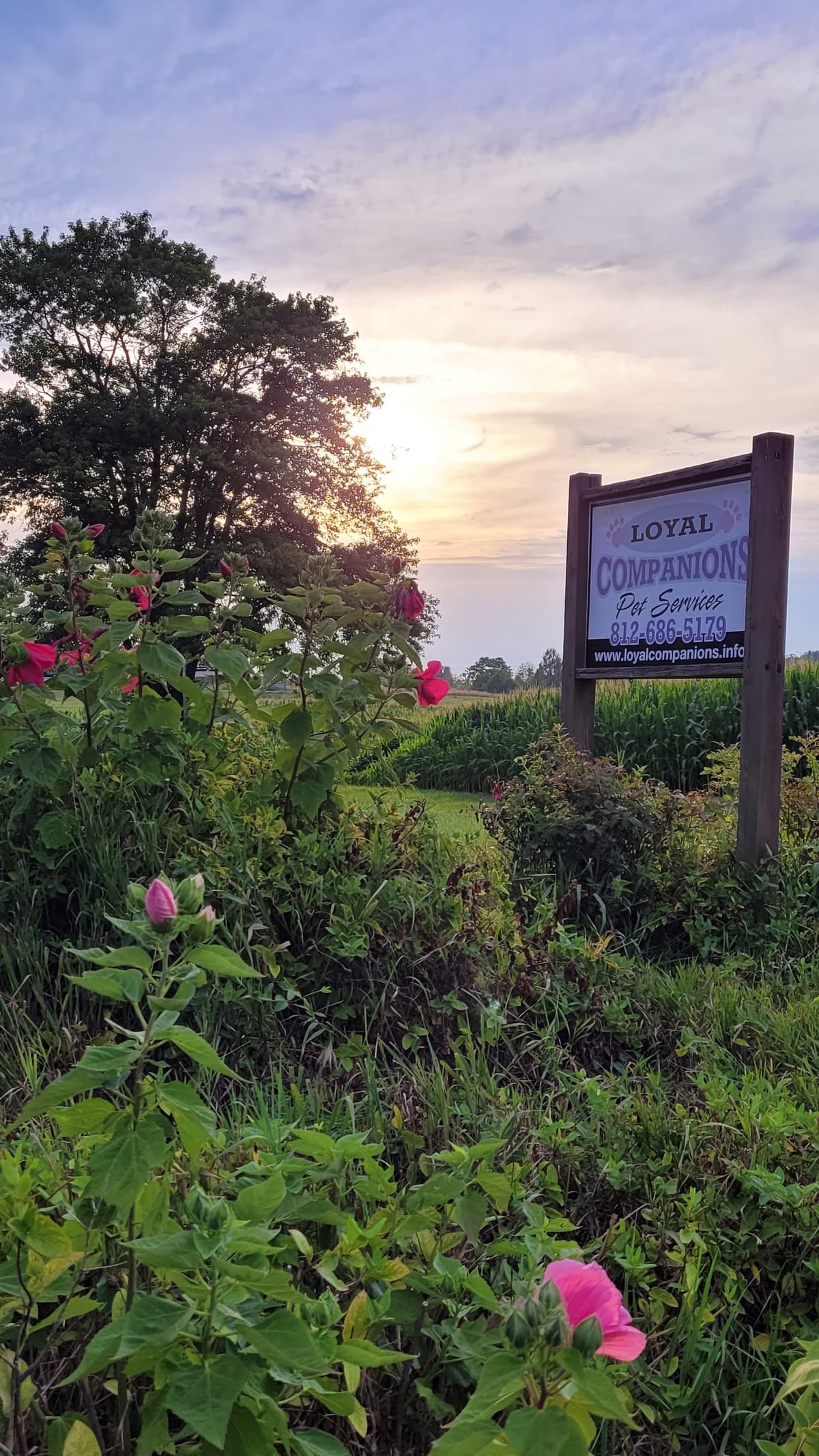 Loyal Companions Crematory - Main photo