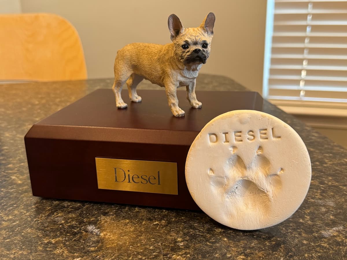 Nansemond Pet Cremation Services - Main photo