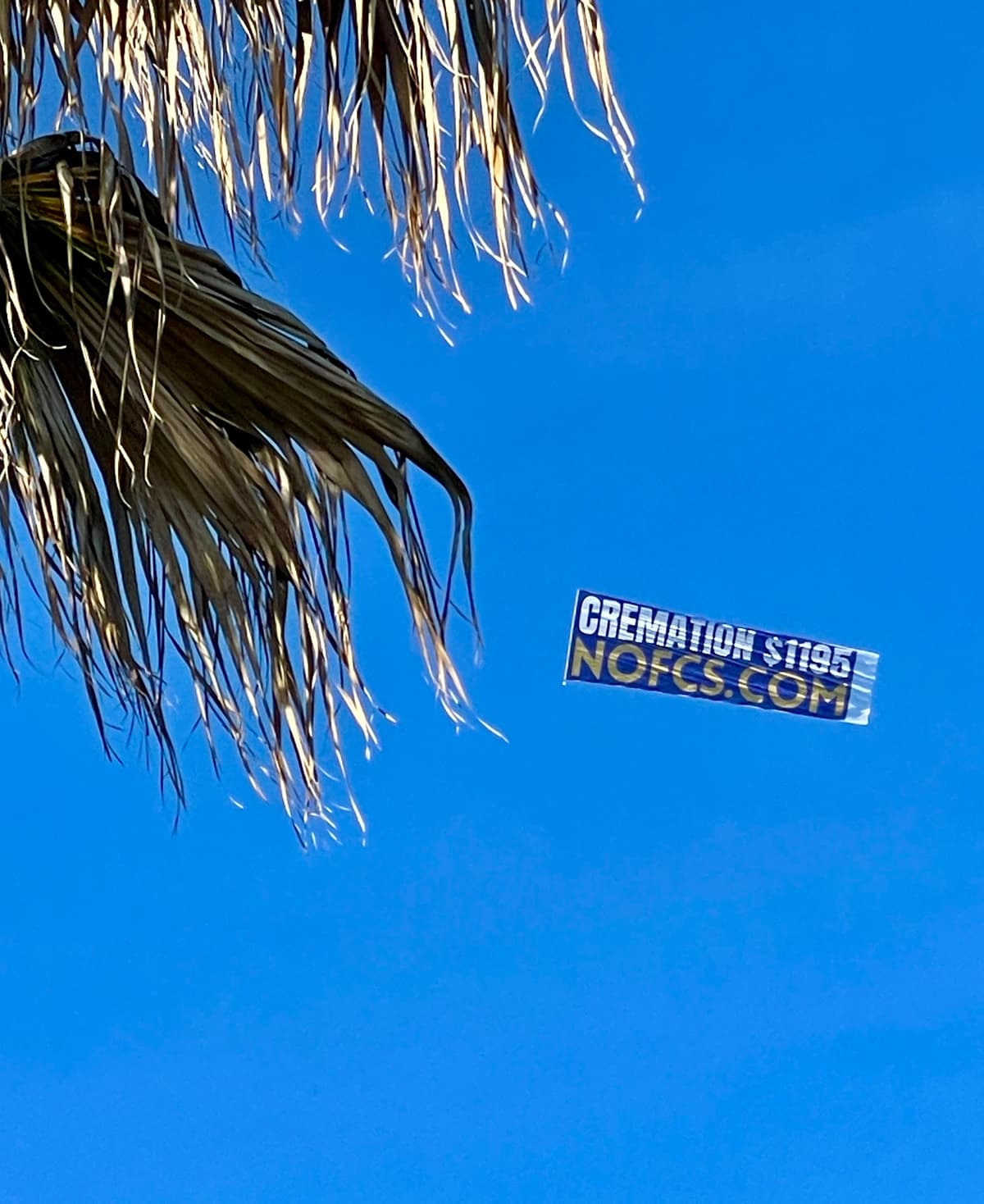 New Orleans Funeral & Cremation Service - Main photo