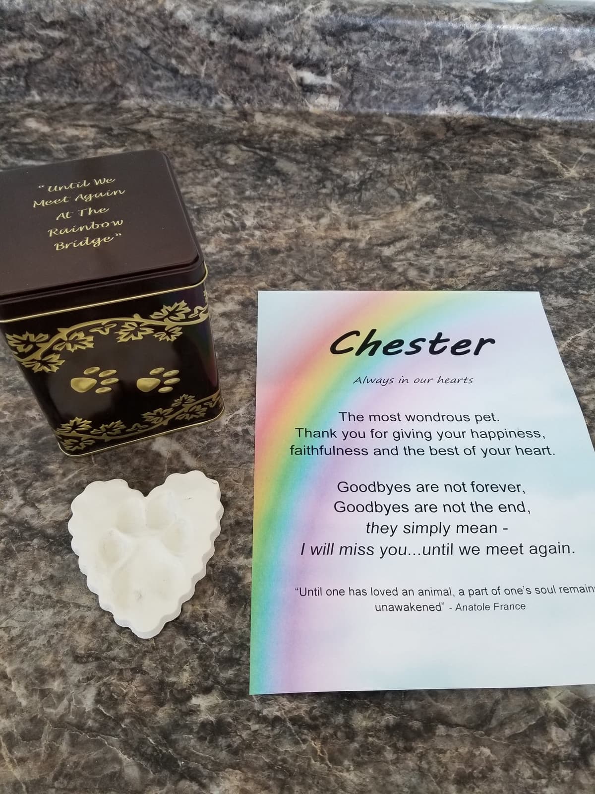 Open Arms Pet Cremation - Main photo