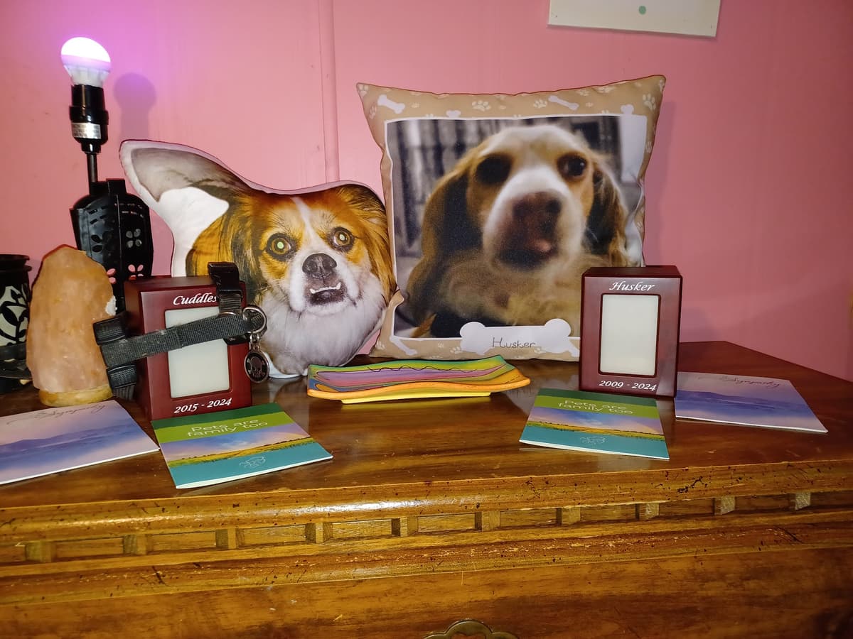 Parkland Pet Cremation Service - Main photo