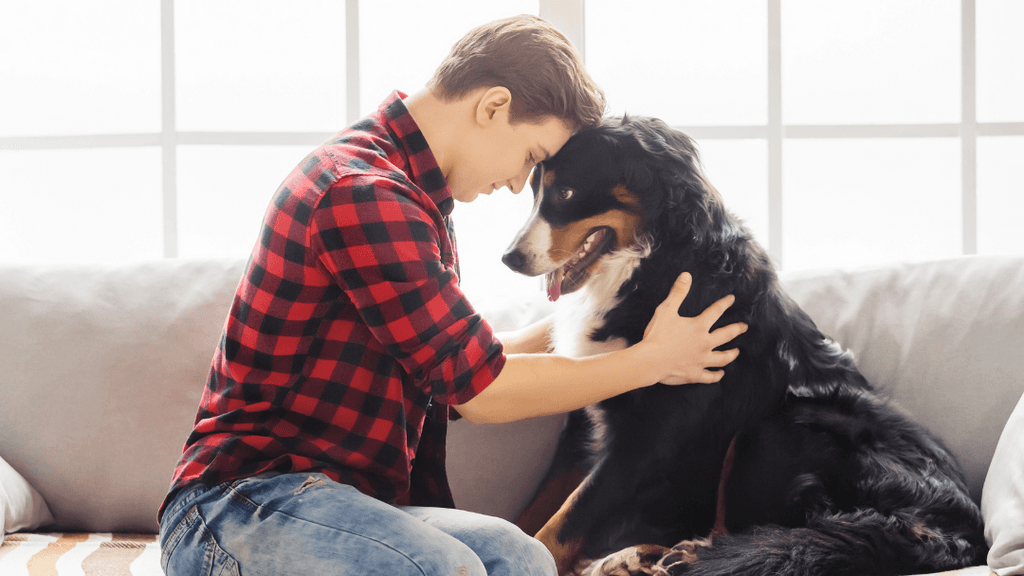 Paws To Heaven Pet Crematory - Main photo