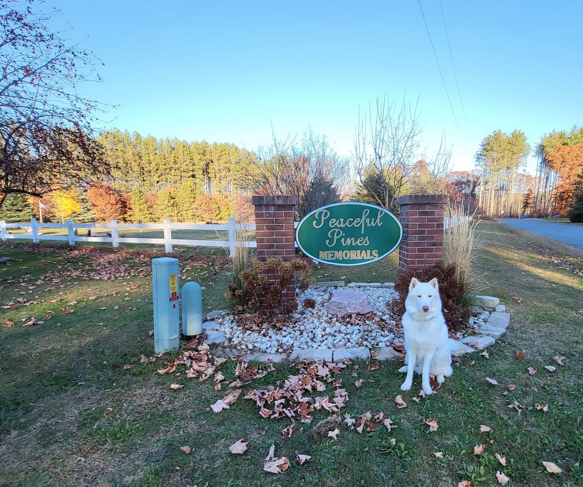 Peaceful Pines Pet Memorials - Main photo
