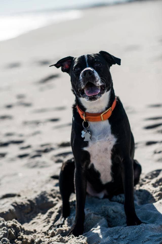 Peach Tree Cremation Services, LLC - Main photo