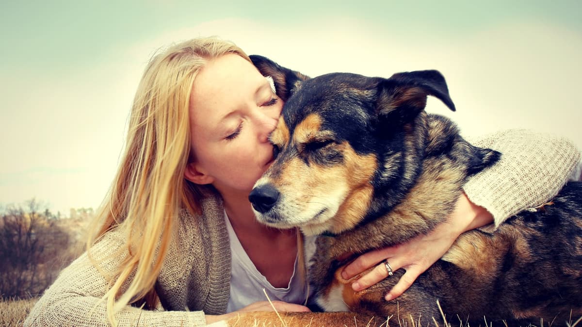 Peninsula Pet Cremations - Main photo