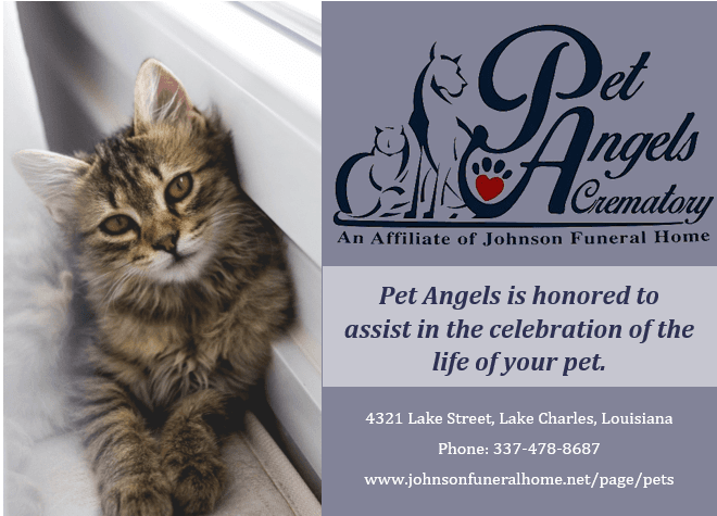 Pet Angels Crematory - Main photo