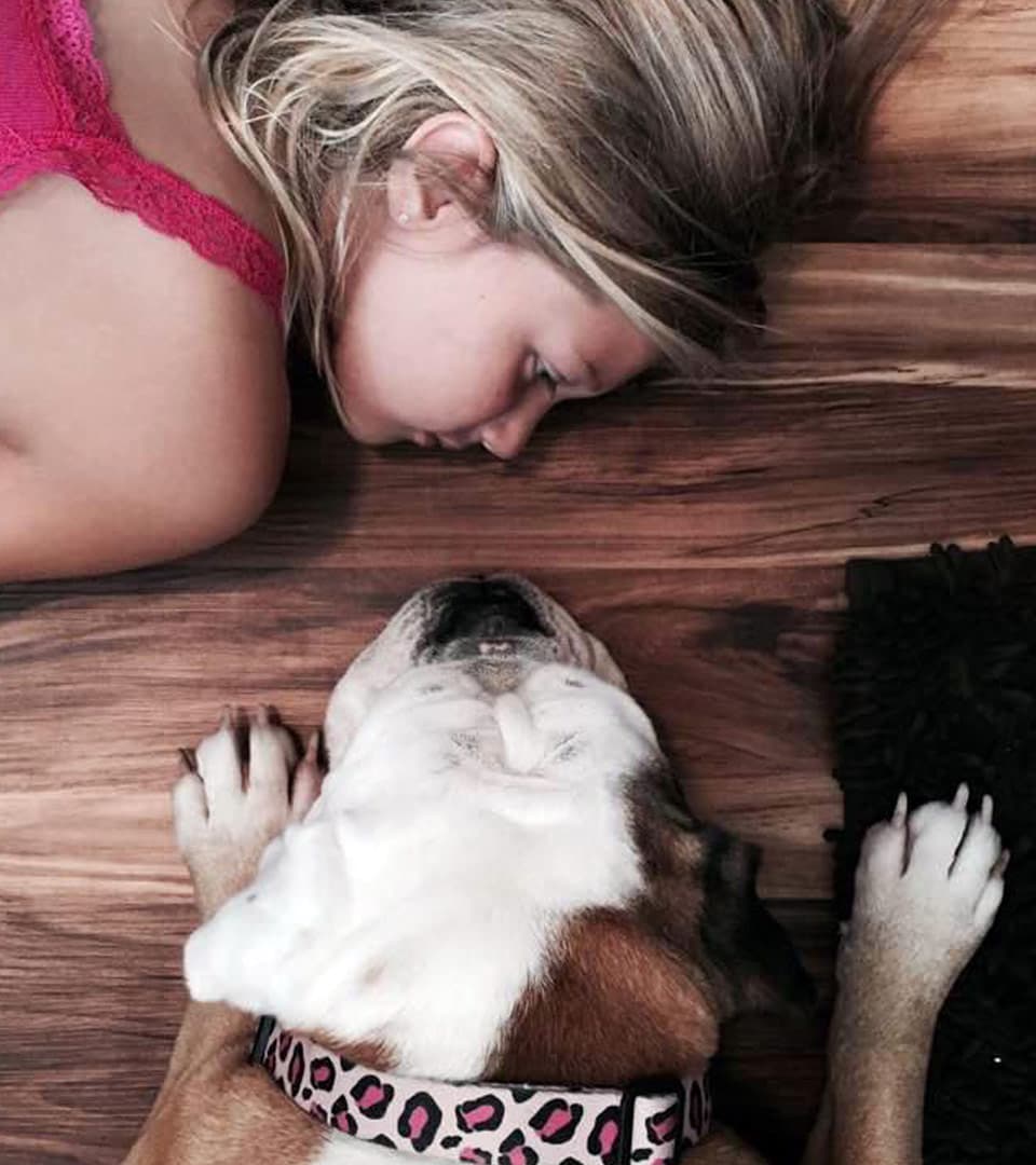 Pet Cremation Iowa - Des Moines - Main photo