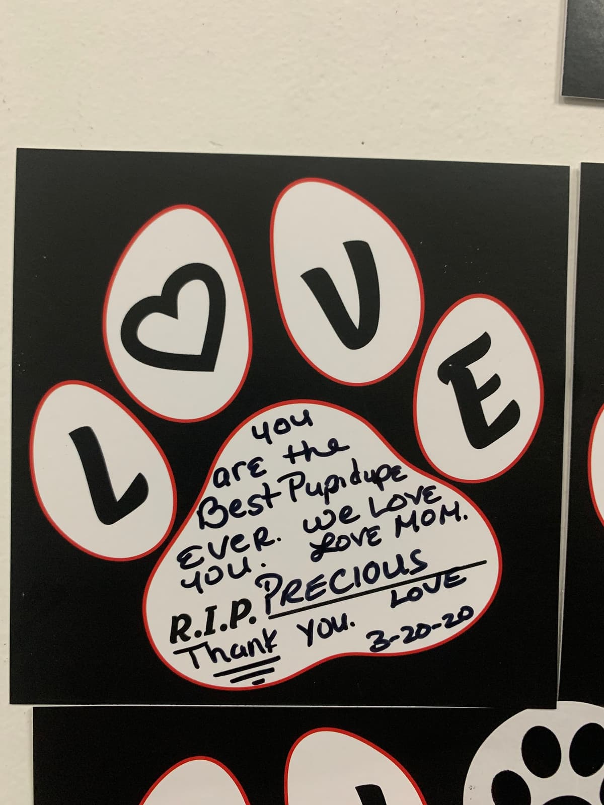 Pet Cremation Of Kissimmee - Main photo