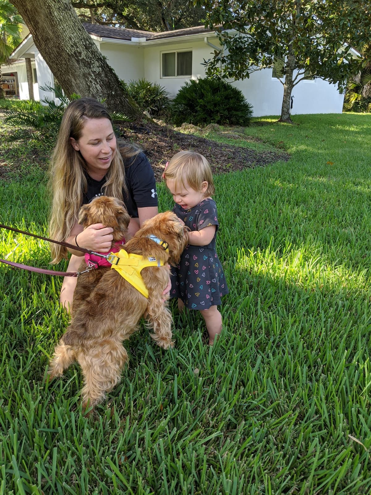 Pet Cremation Services Of Columbus - Main photo