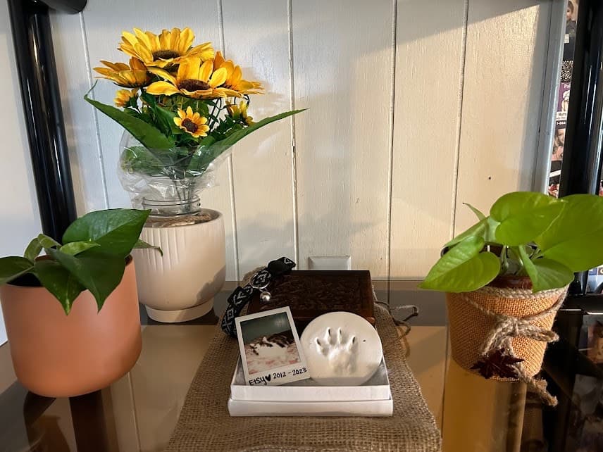 Pet Cremation Universal LLC - Main photo