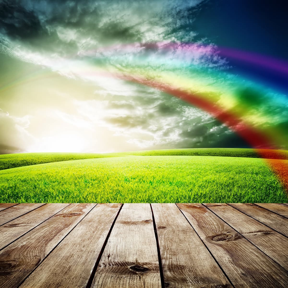 Pet Memories Cremation Service - Main photo