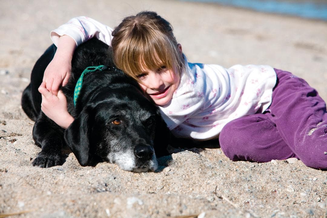 Pet Rest In Peace Memorial Center & Crematory - Main photo