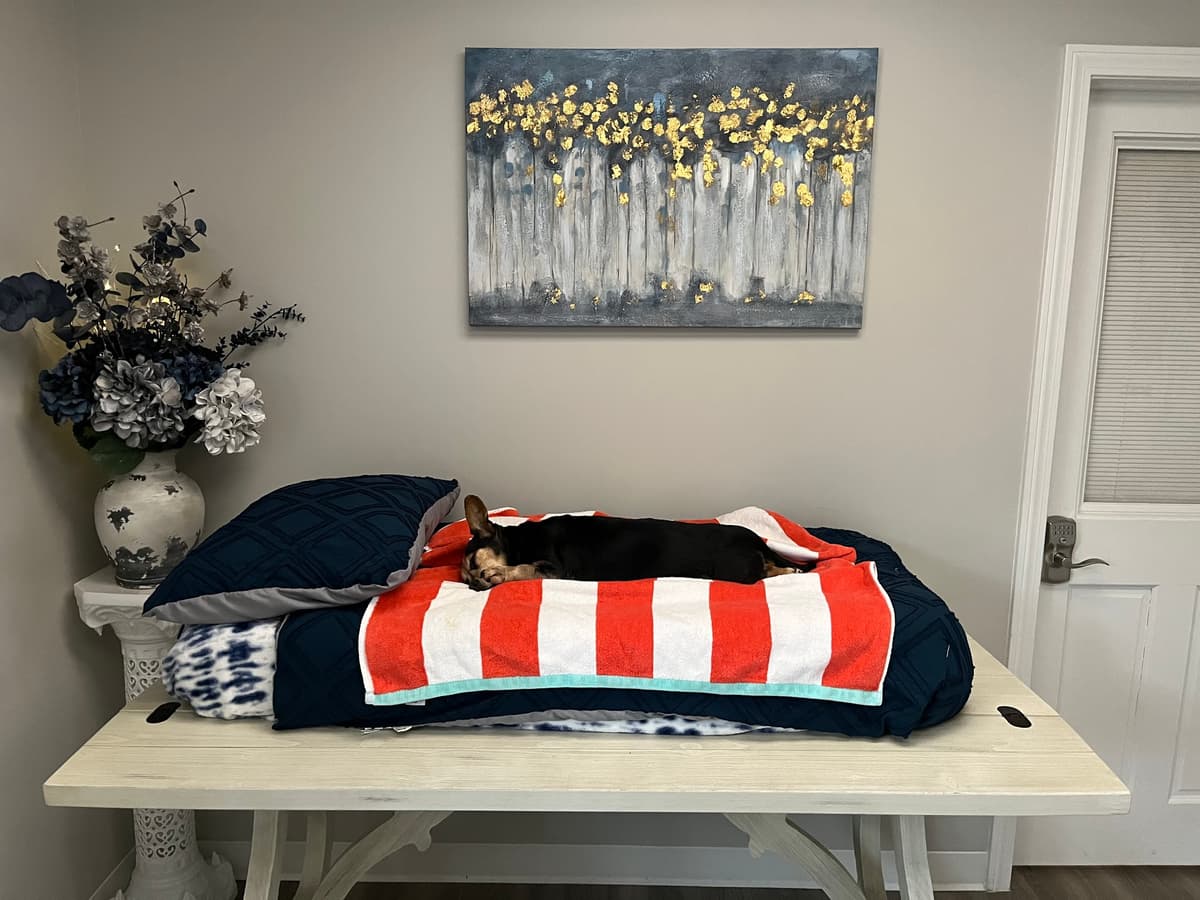 Pets We Loved Memorials - Main photo