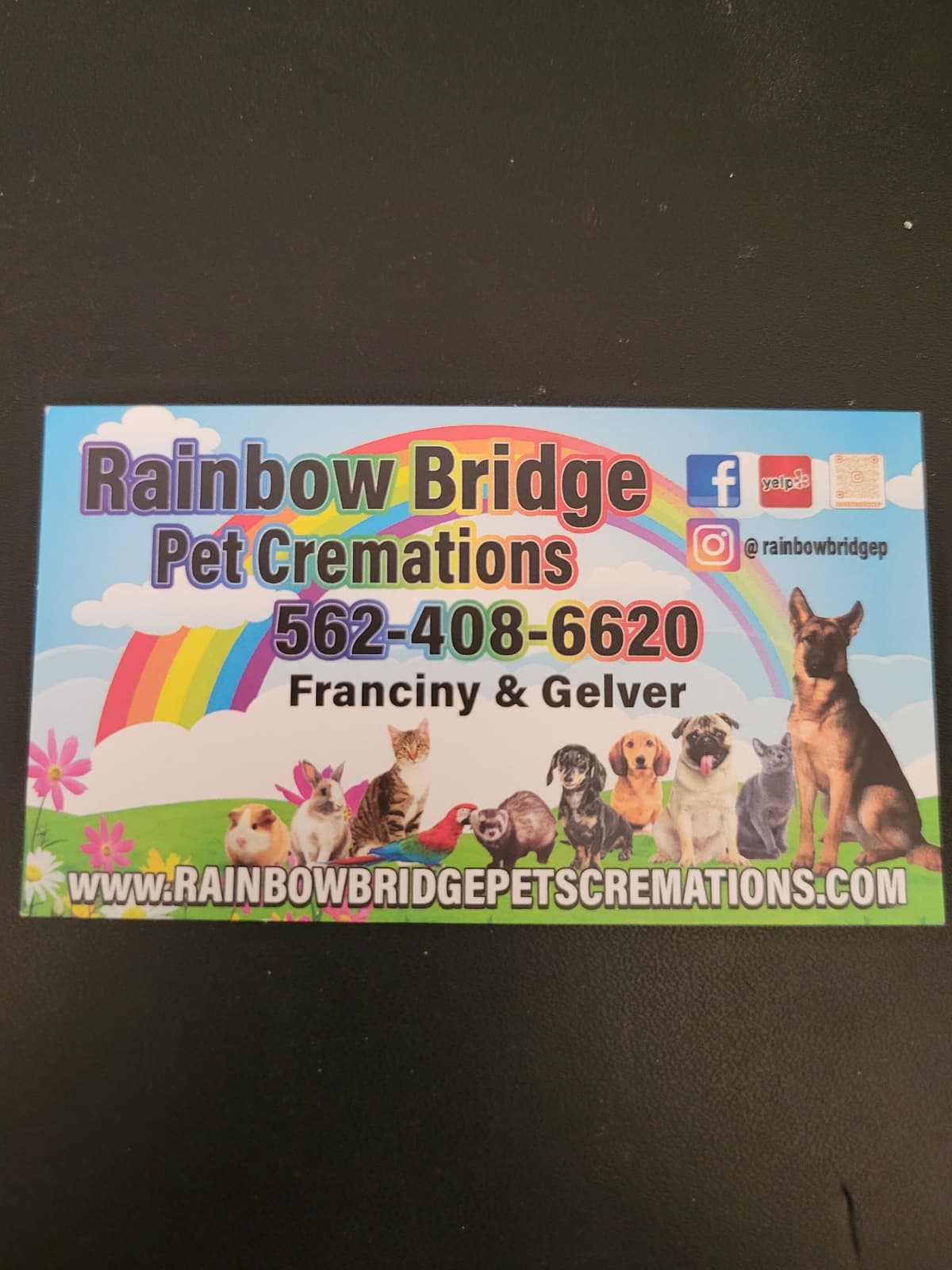 Rainbow Bridge Pets Cremations - Main photo