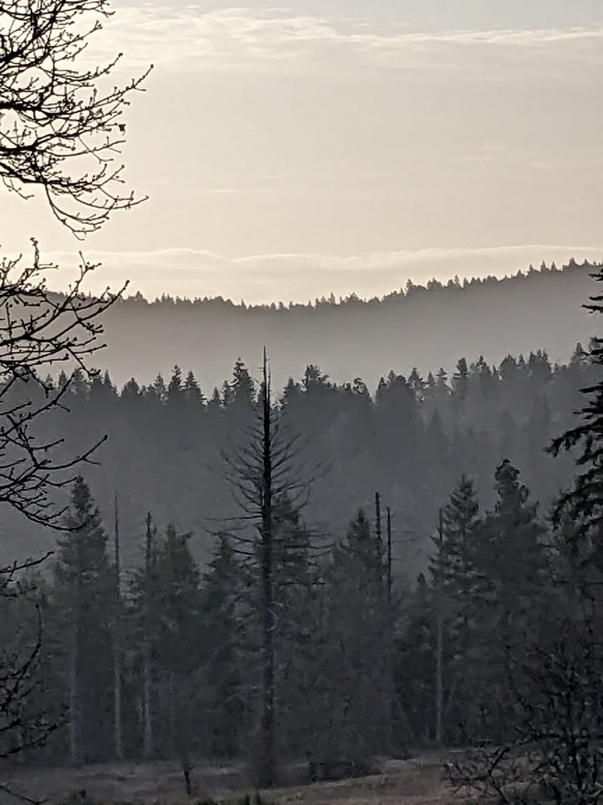 Rest-haven Memorial Park And Funeral Home - Main photo