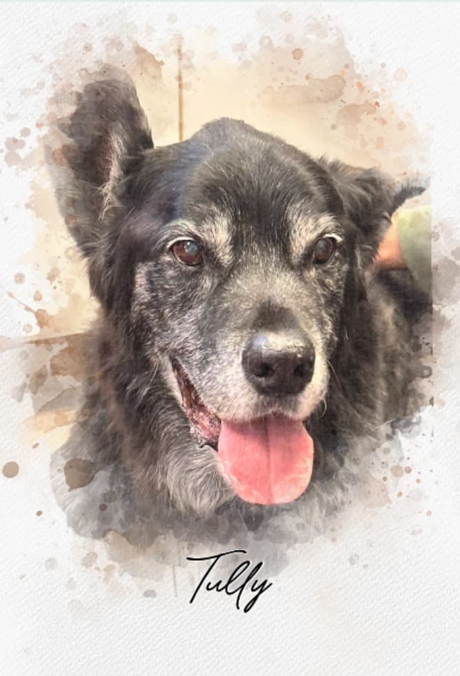 Riverbend Pet Crematory LLC - Main photo