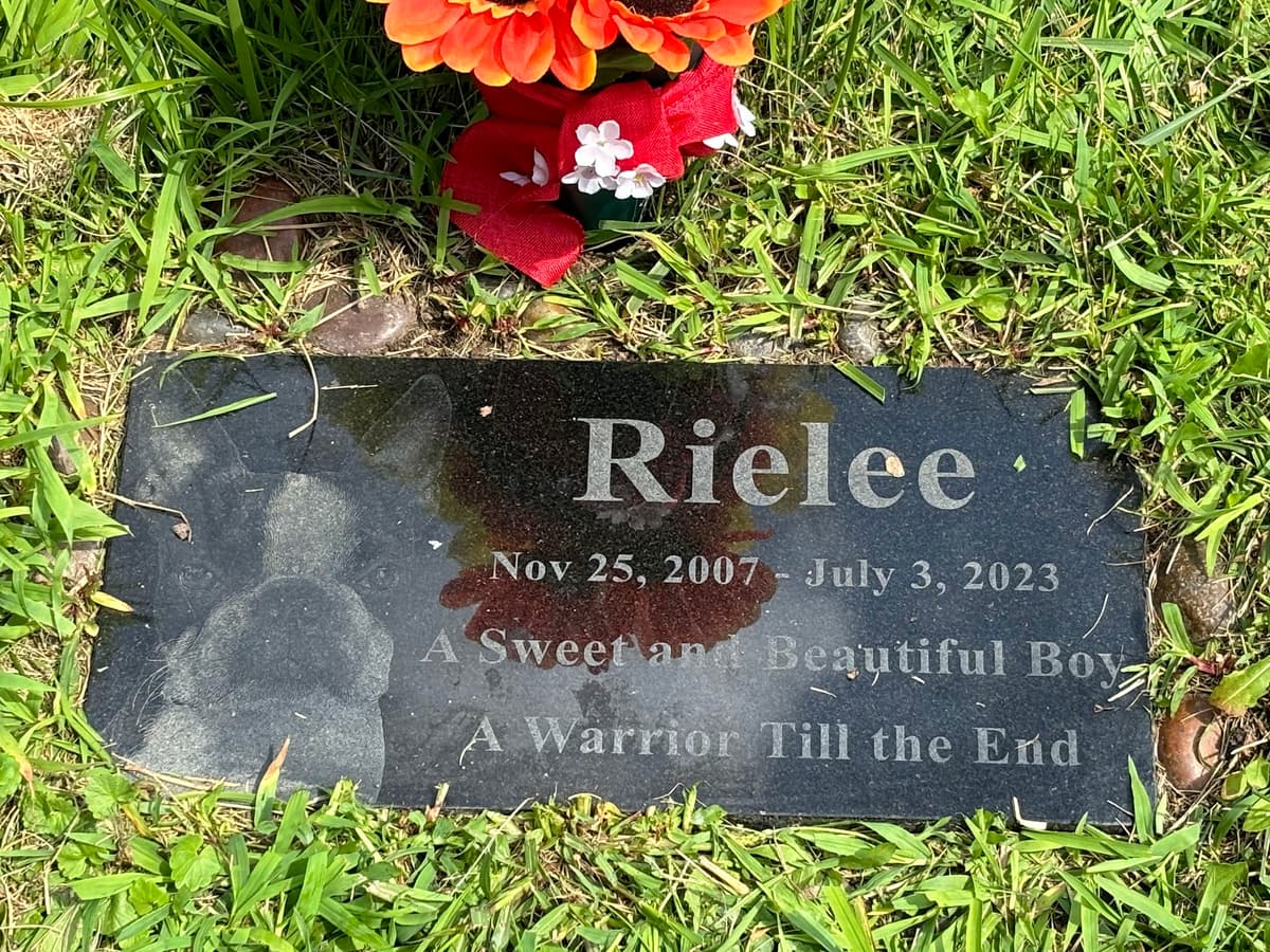 Snow Mountain Pet Cemetery & Crematory - Main photo