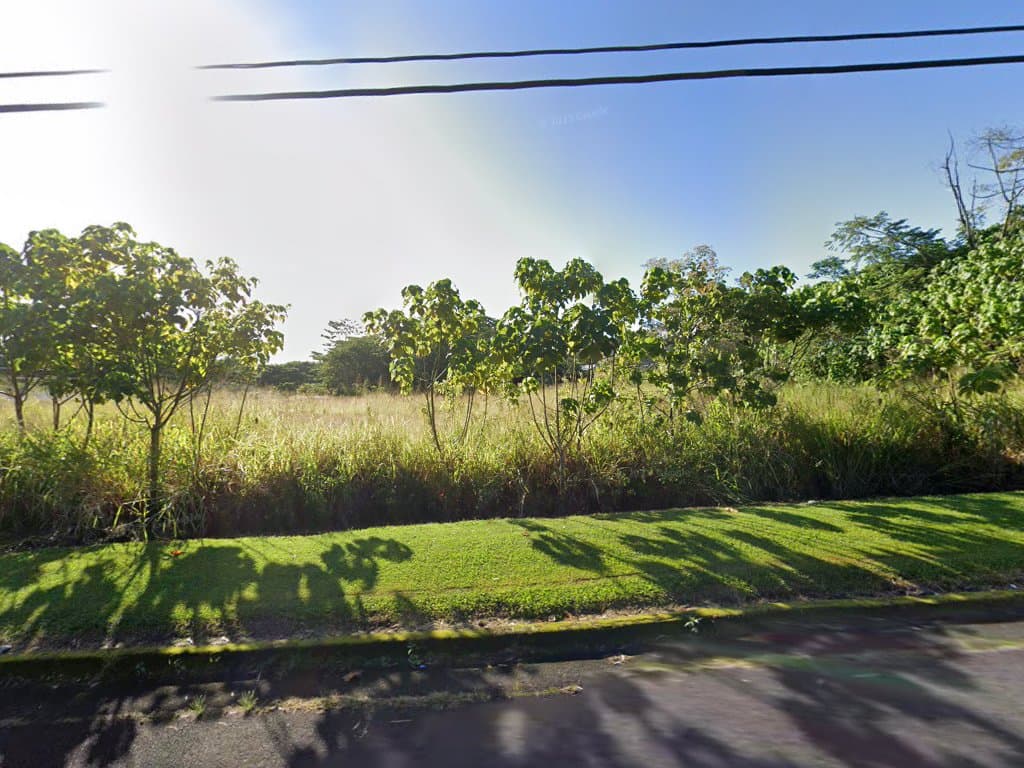 Sunset Pet Memorial Services - Main photo