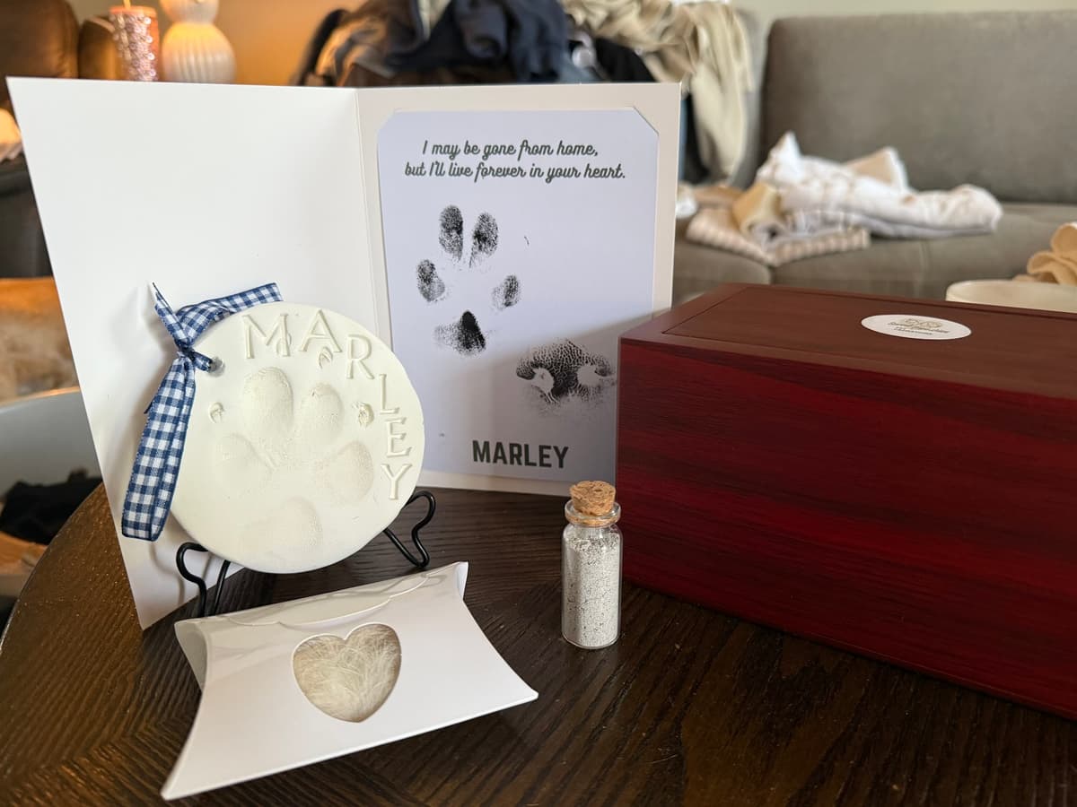 Sweet Memories Pet Cremations - Main photo