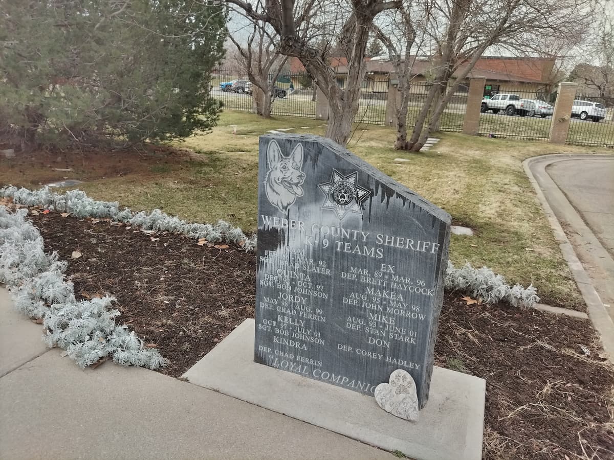 Tiffany Mack Memorial Pet Cemetery - Main photo